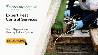 Protect Your Home with Premium Pest Control Services [upl. by Hafital46]