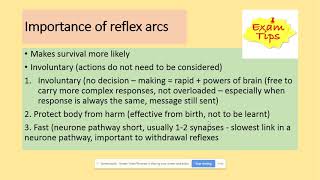 3611 A reflex arc AQA A level Biology [upl. by Etteval]