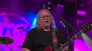 Govt Mule  If Heartaches Were Nickels Live [upl. by Jochebed]