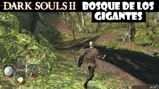 Dark Souls 2 guia BOSQUE DE LOS GIGANTES CAÍDOS 1  Mercader y arma muy buenos  Episodio 3 [upl. by Seravaj]