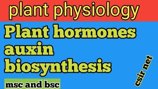 auxin biosynthesisplant hormonesplant physiology  csir net [upl. by Xyno]