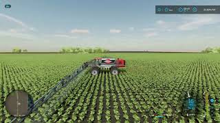 Spraying Herbicide on Sunflowers  E26 Big Flats Texas  Farming Simulator 22 [upl. by Ahsenit]