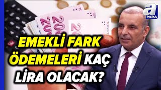 Emekli Fark Ödemesi Ne Kadar Olacak Farklar Ne Hangi Tarihte Yatırılacak Faruk Erdem Açıkladı [upl. by Arte]