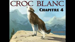 Croc Blanc  Livre Audio 🔈  chapitre 4  La bataille des crocs  Jack London [upl. by Nohsad502]