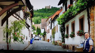 Weingüter in der Pfalz [upl. by Wadesworth]