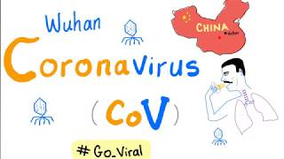 Novel Coronavirus 2019 nCoV 🦠 Outbreak 😷 Update  1 COVID19 [upl. by Lytton739]