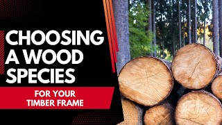 Choosing a Wood Species for your Timber Frame [upl. by Erej643]