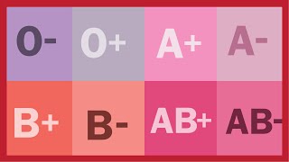 Tipos de sangre explicados [upl. by Ahsaya]