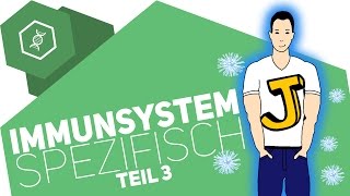 Spezifische Immunabwehr 3  Immunsystem [upl. by Ambie151]