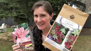 How to plant lily bulbs [upl. by Janice654]