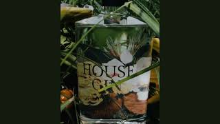 Cultural Story 2024  HOUSE GIN [upl. by Etteniotnna]