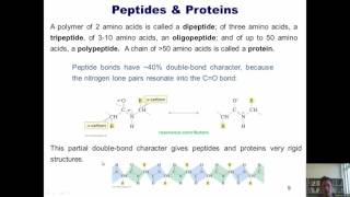 Chapter 23 – Protein Chemistry Part 7 of 10 [upl. by Eniamzaj]