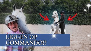 VRIJHEIDSDRESSUUR MET BENTHE EN TESS🦄  PaardenpraatTV [upl. by Bleier900]