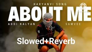 Circle sara mane chod rakha Hai Song  Haryanvi Song   Slowed  Reverb [upl. by Warram]