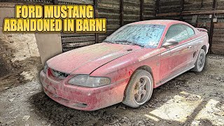 First Wash in 8 Years ABANDONED Barn Find Ford Mustang  Car Detailing Restoration [upl. by Pasadis86]