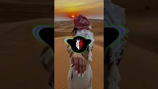 New Afghan Remix Song Slowed Reverb 2024 Afghan Remix Song Bass Boosted [upl. by Lechner]