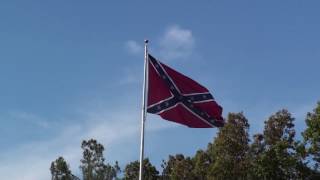 Confederate Flag Waving [upl. by Maiocco416]