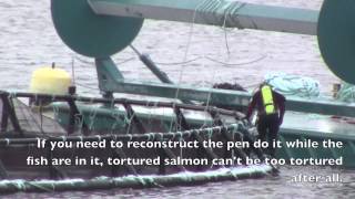 Cooke AquacultureTrue North Salmons Recipe for Tortured Salmon [upl. by Mallon647]