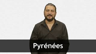 How to pronounce PYRÉNÉES in French [upl. by Eulalee819]