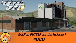 LS19  LIEBLINGSPROJEKT 020  Endlich FUTTER für die Hühner  FS19  Lets Play HD [upl. by Llerrom]