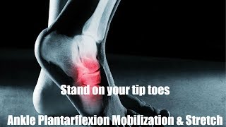 Ankle Plantarflexion Mobilization [upl. by Alihs]