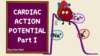 Ventricular Action Potential  Cardiac Action Potential  Part 1  Phases  Cardiac Physiology [upl. by Enak]