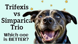 Trifexis vs Simparica Trio Choosing the Best Flea amp Tick Protection for Your Dog [upl. by Siro553]