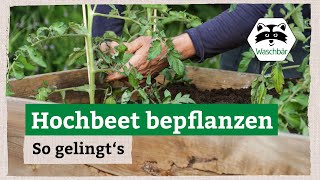 Hochbeet richtig bepflanzen – so gelingt’s [upl. by Belter]