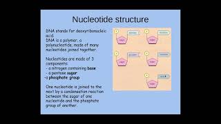 213 Nucleotides and Nucleic acids a The structure of a nucleotide [upl. by Sad40]