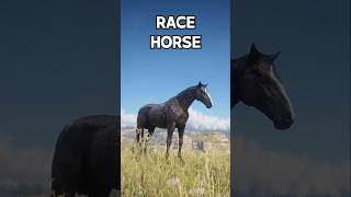 Best RACE Horses You Must OWN  RDR 2 [upl. by Milman]