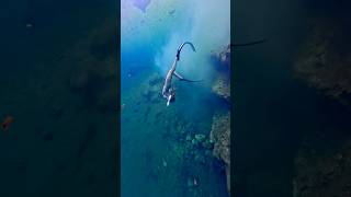 ☁️ underwater freediver freediving duckweed [upl. by Eseilana]