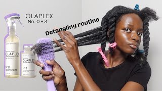 How to use Olaplex No 0 and No 3 on high porosity natural hair  Detangling Routine Wash Day Part 1 [upl. by Kcir995]