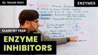 Enzyme inhibitors l Biology 1st year in UrduHindi l Chapter 3 l GradeClass 11 [upl. by Holey]