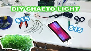 DIY CHAETO LIGHT  HOW TO [upl. by Arondell99]