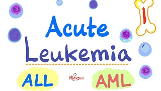 Acute Leukemia  ALL and AML  Hematology and Oncology Series [upl. by Nomael]