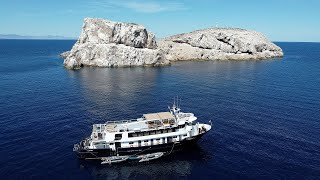 Sea Of Cortez Scuba Diving [upl. by Putscher826]