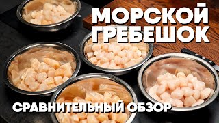 Как выбрать морского гребешка Обзор и сравнение морского гребешка от разных производителей [upl. by Sik132]