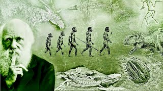 Evolution  What Darwin Never Knew  NOVA Full Documentary HD [upl. by Llerdna891]