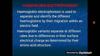 Haemoglobin Electrophoresis [upl. by Otrevogir]