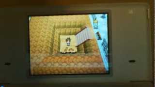 How to farm shards Pokémon Black 2White 2 [upl. by Acired]