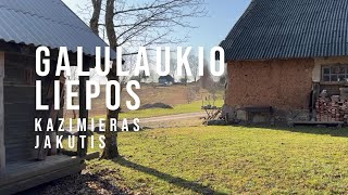 Kazimieras Jakutis – Galulaukio liepos [upl. by Neeluj]