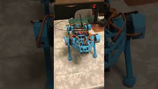 Robot Dog LOTP Prototype 2 [upl. by Issy376]