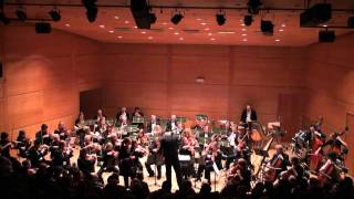 Concerto pour Violon de Tchaikovsky  1er Mouvement [upl. by Ymassej]