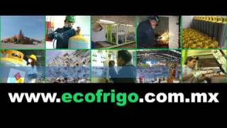 ecofrigo  Centro de Acopio y reciclado de refrigeradores y aires acondicionados [upl. by Olenta]