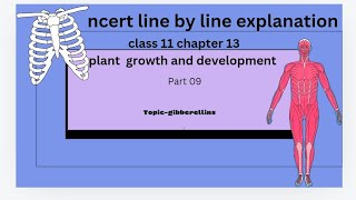 Gibberellins ncert line by line explanation [upl. by Ariamat]