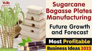 Sugarcane Bagasse Plates Manufacturing [upl. by Dasie837]