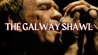 Galway Shawl │Finbar Furey [upl. by Darsey640]