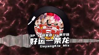 3P x 薛家燕 x 暴牙菇  好運一條龍 GoyangKia Electro ReMix【祝你今年好運一條龍 一條龍阿龍阿龍】 [upl. by Anwahs]