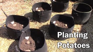 How to Grow Potatoes In Bags [upl. by Hakilam]