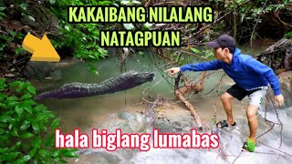 PUSOD NG DAGAT SA GITNA NG GUBAT l TIRAHAN NG KAKAIBANG NILALANG [upl. by Anileh]